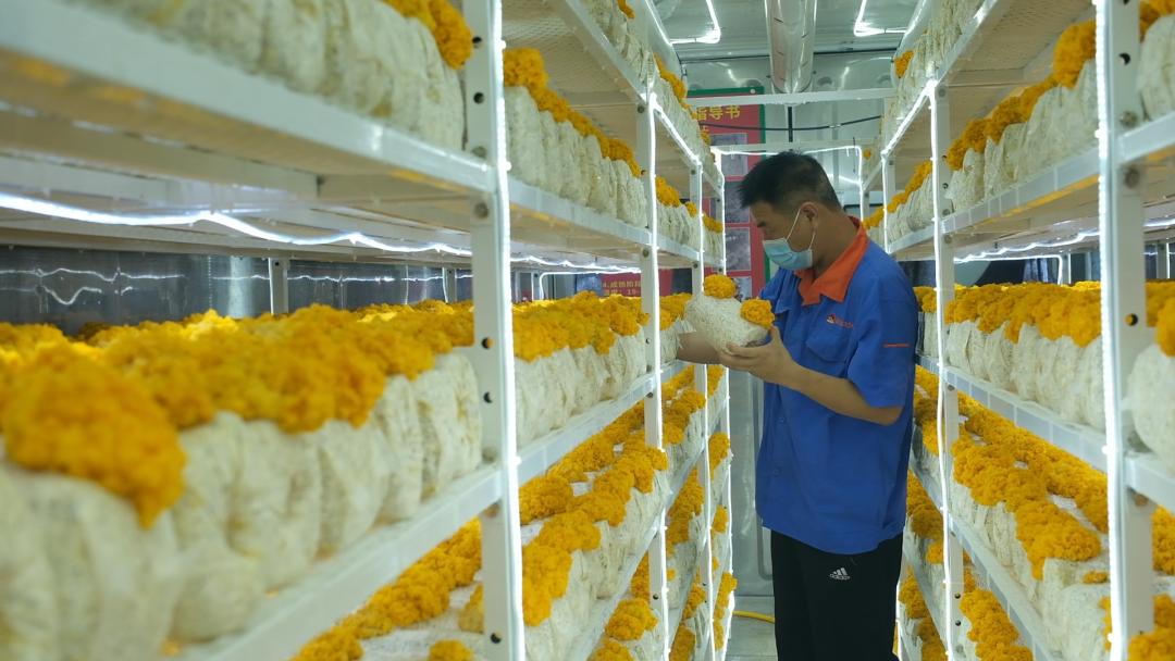 ɽ|fS𡱮aI(y)ġƼ(wn)a